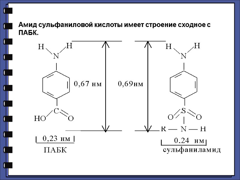 Амид сульфаниловой кислоты имеет строение сходное с ПАБК.